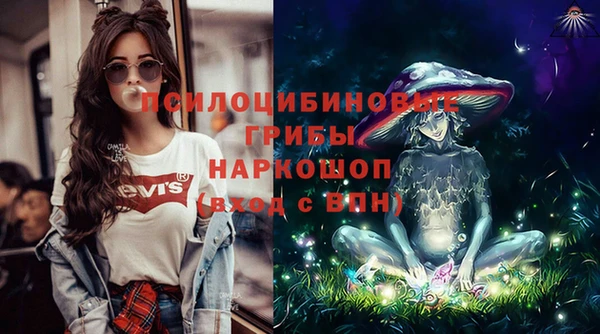стаф Володарск