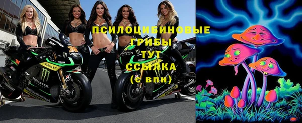 дурь Волосово