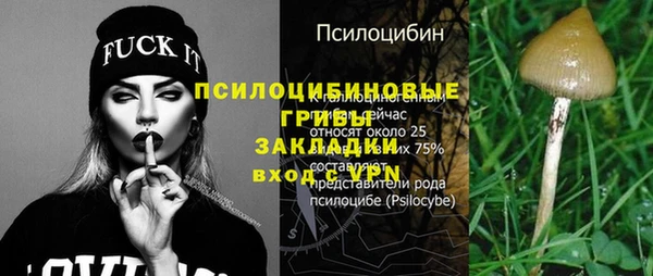 стаф Володарск