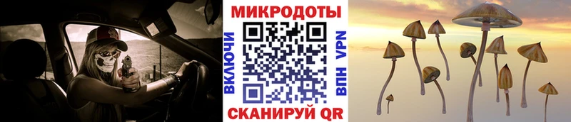 blacksprut ONION  shop наркотические препараты  Галлюциногенные грибы Psilocybe  наркошоп  Железногорск-Илимский 