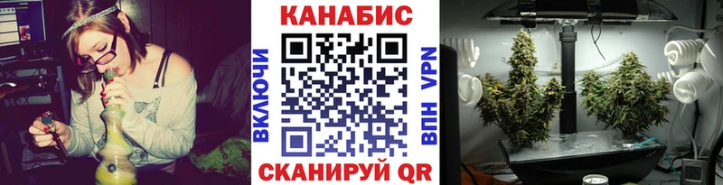 где найти наркотики  Железногорск-Илимский  Бошки Шишки конопля 